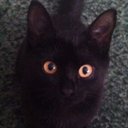 patty stephens - @patann1967 - Twitter