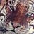 FHSTigerLibrary's profile image