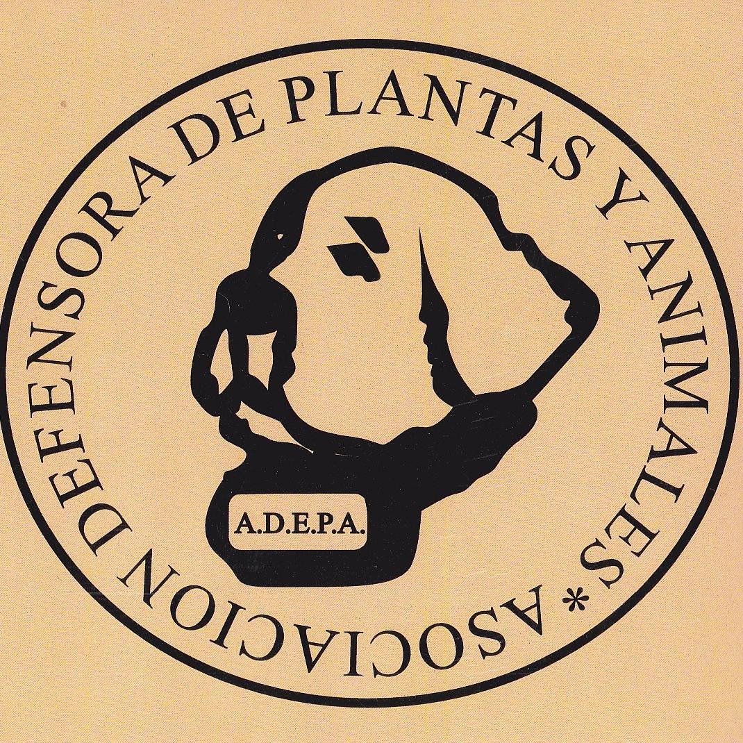 Protectora de Animales La Solana (CIUDAD REAL) -ESPAÑA-
https://t.co/3PsihchwOg