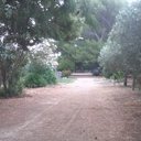 Antonio Ranieri - @f42mt46d22jk - Twitter