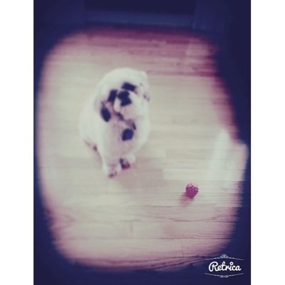 lolniall569 Profile Picture