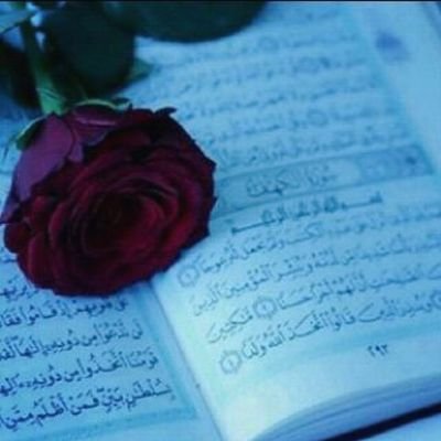 mohmmed767941 Profile Picture