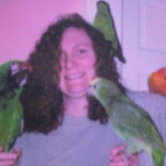 Parrot Breeder