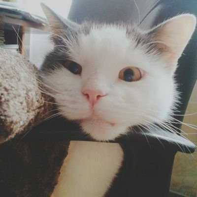 EasyreaderAloha's profile picture. Easy reader / Easy rider