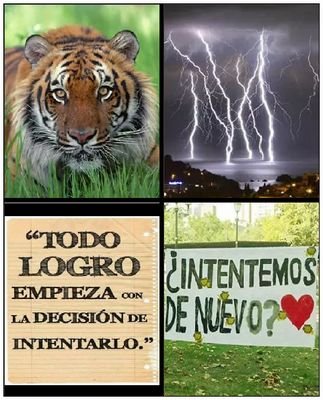 FabriiMeendoza's profile picture. 