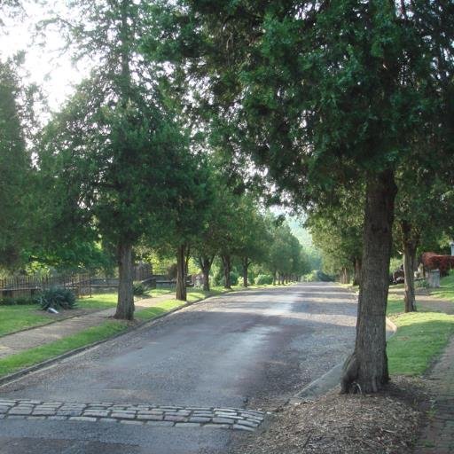 Gravegarden's profile picture. Established in 1806 by town founder John Lynch, Old City Cemetery is now a 27-acre historic site and arboretum. More than 15,000 souls are at final rest here.