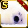 kimchin gamesさんのプロフィール画像