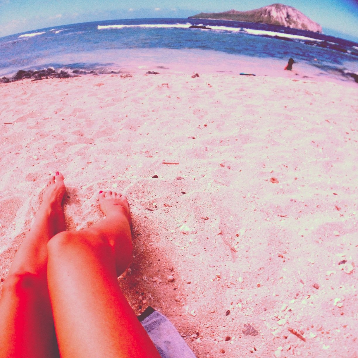 PVerduzco's profile picture. 