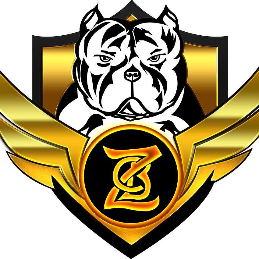 Cuenta Oficial de ZION BULLS CAMP, crianza del American Bully, Cel.: 849.569.2855 Alexander Cruz