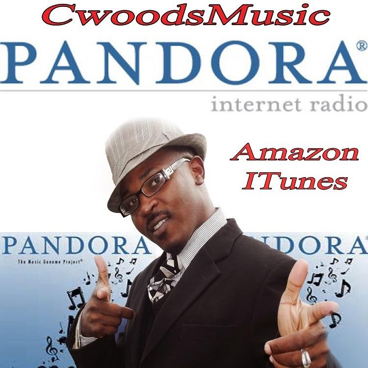 C.Woods is an upcoming gospel artist on the rise. He loves doing work with Video and design. Hobbies include basketball, chess, music, inspirational speaking, a