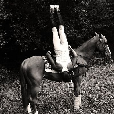 Professional Horseman / Equestrian Show Director