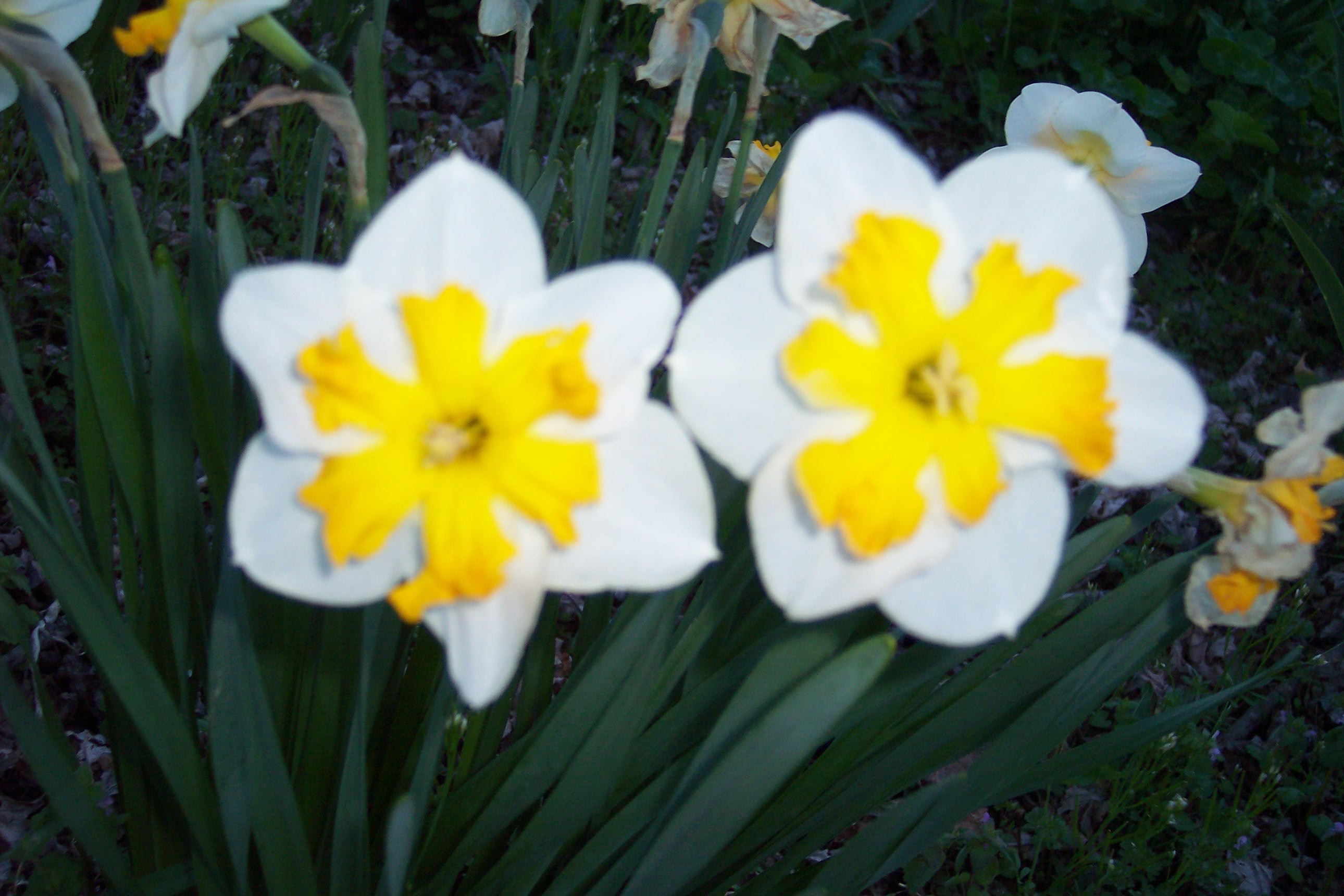 VintageHeroics's profile picture. 