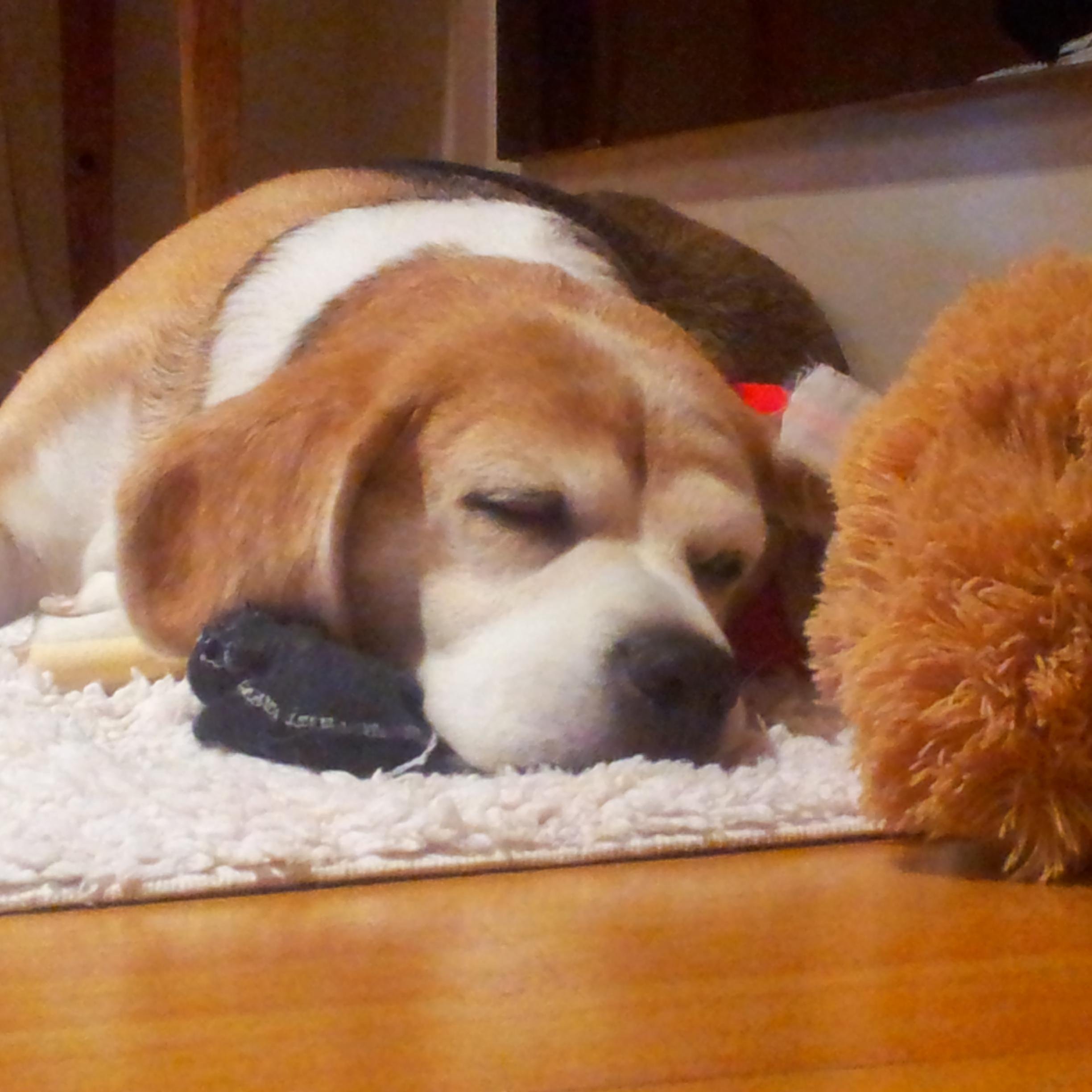 AdroCesar's profile picture. Fisico, UBA.