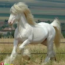 207Mdh's profile picture. 