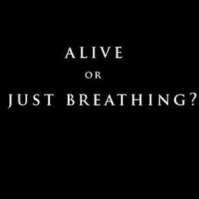 suicidal_dutch's profile picture. 