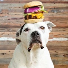 We're grilling up fun at Barks and Burgers™, a fun foodie event benefiting The Urban Pet Project.