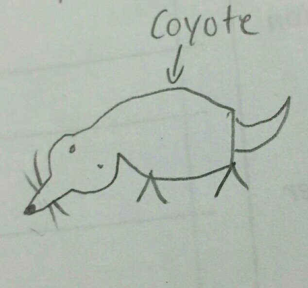 I am but a simple coyote who likes to parte | blame @AMcMurtrey for my existence |