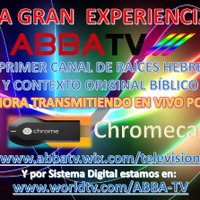 La Palabra  (@lapalabrain) 's Twitter Profile