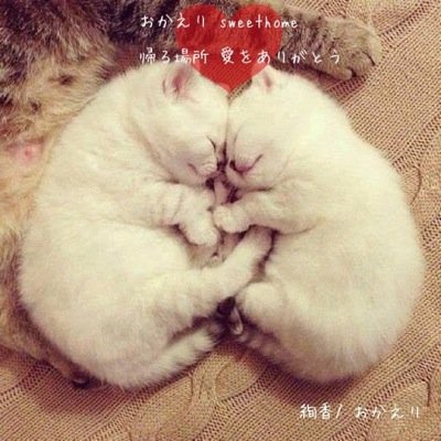 トプ画採点 Topg1000 Twitter トプ画採点 Topg1000 Twitter
