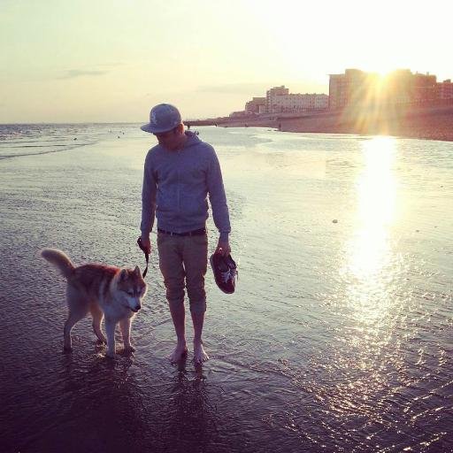 pinkfishdesign's profile picture. Design, Development, Marketing