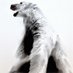 Aaron Li-Hill (@li_hillart) Twitter profile photo Aaron Li-Hill (@li_hillart) Twitter profile photo