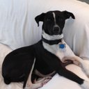 John Tritt - @JohnTritt - Twitter