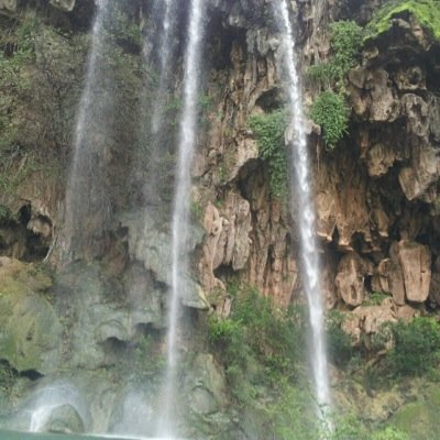 dujofseti's profile picture. 