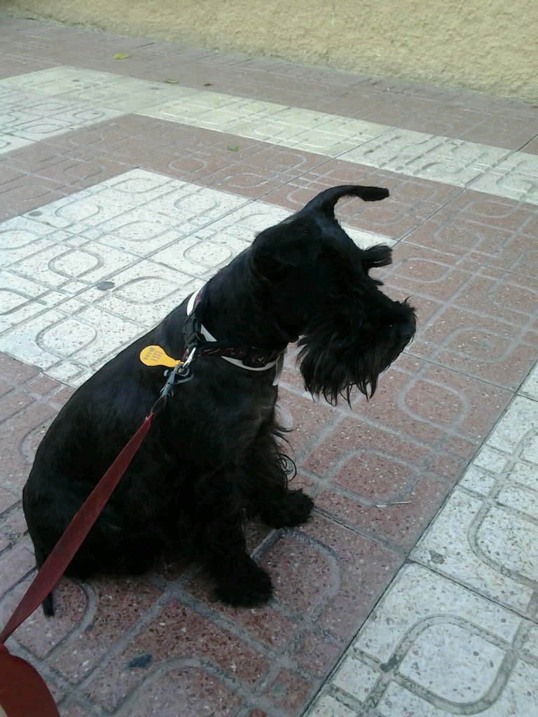 librepensadora