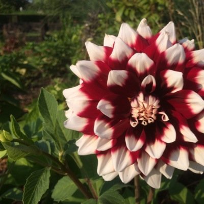 Blueriver81's profile picture. 