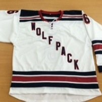 The Hartford Jr Lady Wolfpack will be part of the new NEWJHL (http://t.co/fHW40LRPSg) girls Junior Hockey League which begins play in the 2014-15 season.