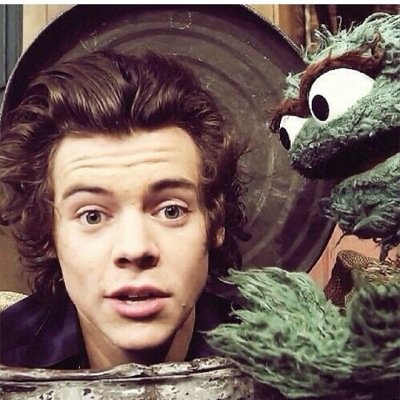 Your pefect just the way you are and dont change! Someday your idol would follow you i promise. Free follow from @fckyoustyles