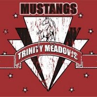 Trinity Meadows (@tmismustangs) 's Twitter Profile