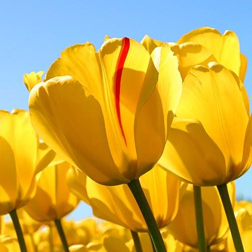 Enymah's profile picture. Amo tudo o que me faz bem!          #Deus #Natureza #Namorar #Fotografar #ADM