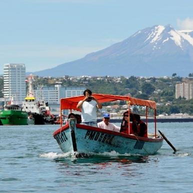 De Puerto Montt, directo, de buena Familia.