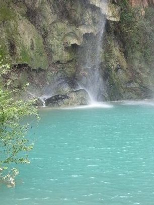 شاعر
