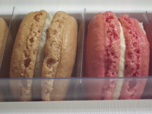 blandflavor110's profile picture. 