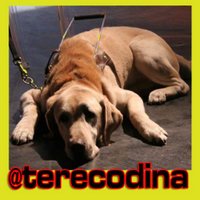Tere Codina (@terecodina) 's Twitter Profile