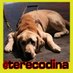 Tere Codina (@terecodina) Twitter profile photo Tere Codina (@terecodina) Twitter profile photo