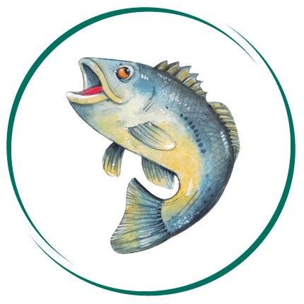 BlackBassHotel's profile picture. 