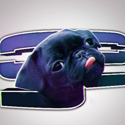 Puggs is my name trickshots are my game.