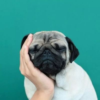 rea22071's profile picture. 