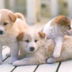 何気ない　何で？　知ってるようで知らなかった⁉️　その場の空気が・・・自分を見る回りが変わるかも・・・