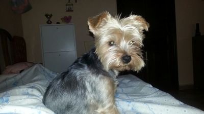 lumelce's profile picture. cada dia mas feliz de mi vida,y sobre todo viviendola con la persona q mas quiero t miguel,familia,amigos y como no mi perrita,jjjjj