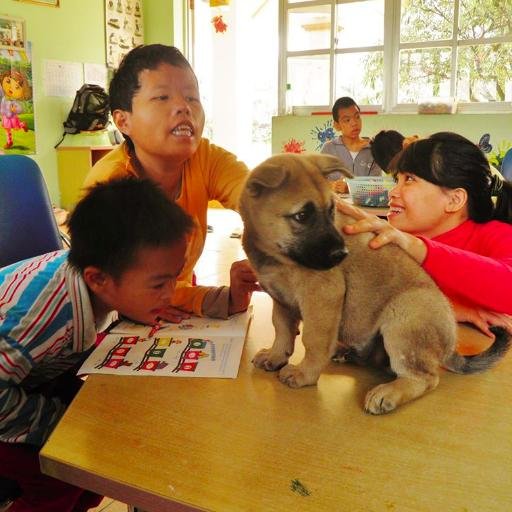 Vietnam Friendship Village is a 501(c)(3) nonprofit offering medical care, housing & education to children/veterans suffering from the effects of Agent Orange.