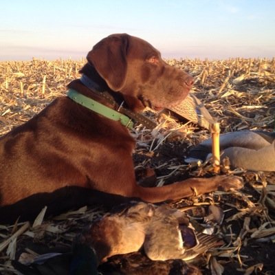 kenoconn's profile picture. Post a little-say a lot, Dad, husband, ret USAF pilot, wide-body gear monkey, duck hunting fanatic, thinker of conservative thoughts, Ciall agus neart