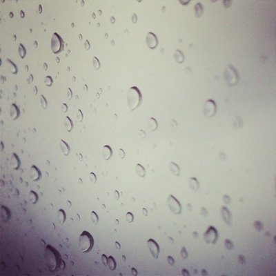 GEDDusty's profile picture. 