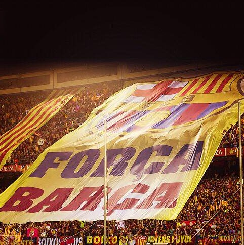 Vinotinto y Cule 100%