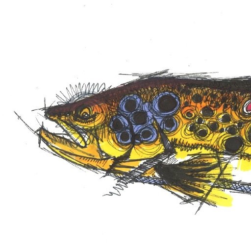 Employment opportunities in the Fly Fishing Industry. Guides, Lodges, Outfitters, Fly Shops and Manufacturers.
