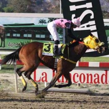 Los Mejores pronosticos para llevarlos a #Taquilla 100% Efectivos para la suscripcion ParleyActivo@hotmail.com o 0426-1937558 y te diremos como #Parley #Parlay