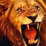Tweet your way to passing the Biology EOC  #DubC  #LionPride